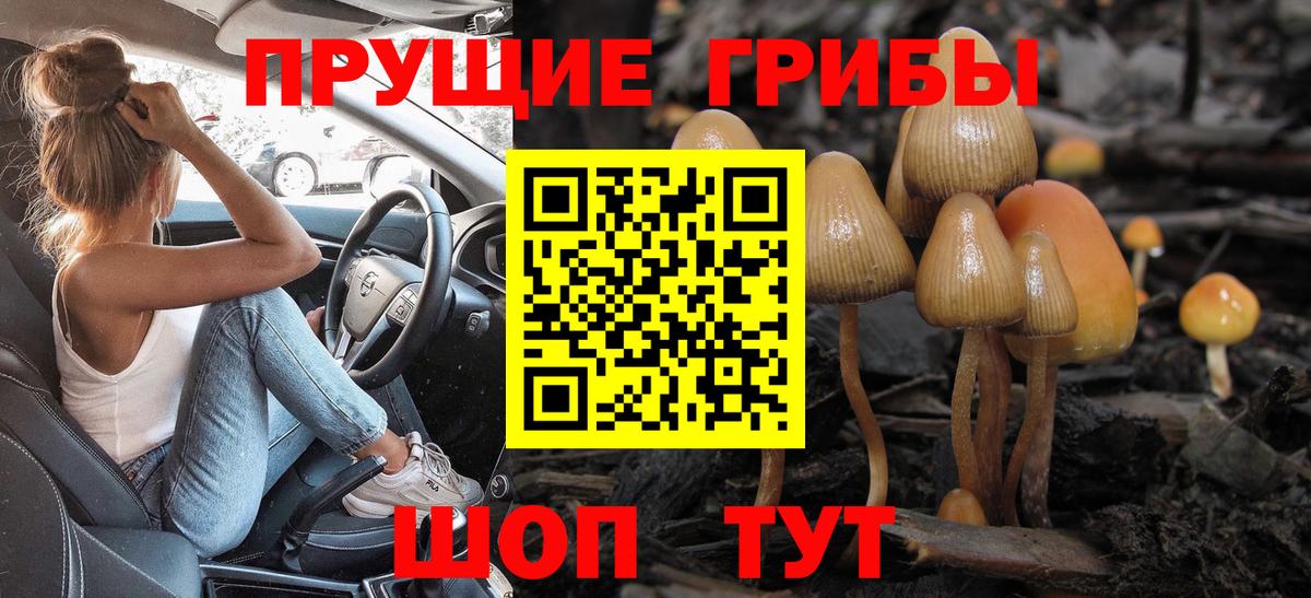 Псилоцибиновые грибы GOLDEN TEACHER  Псилоцибиновые грибы мухоморы  Реутов  Вход с VPN 